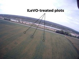 Using ILeVO Increased Yields in All 7 On-Farm Trials in 2016 | Liqui-Grow