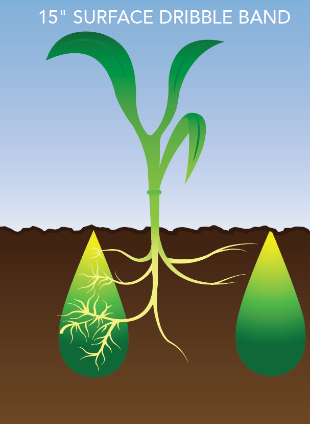 A visual of liquid fertilizers being applied with the dribble band method.