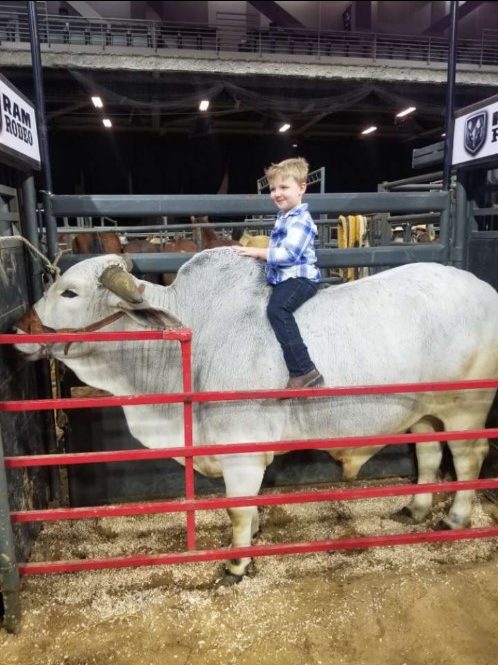 Greg's son on a bull