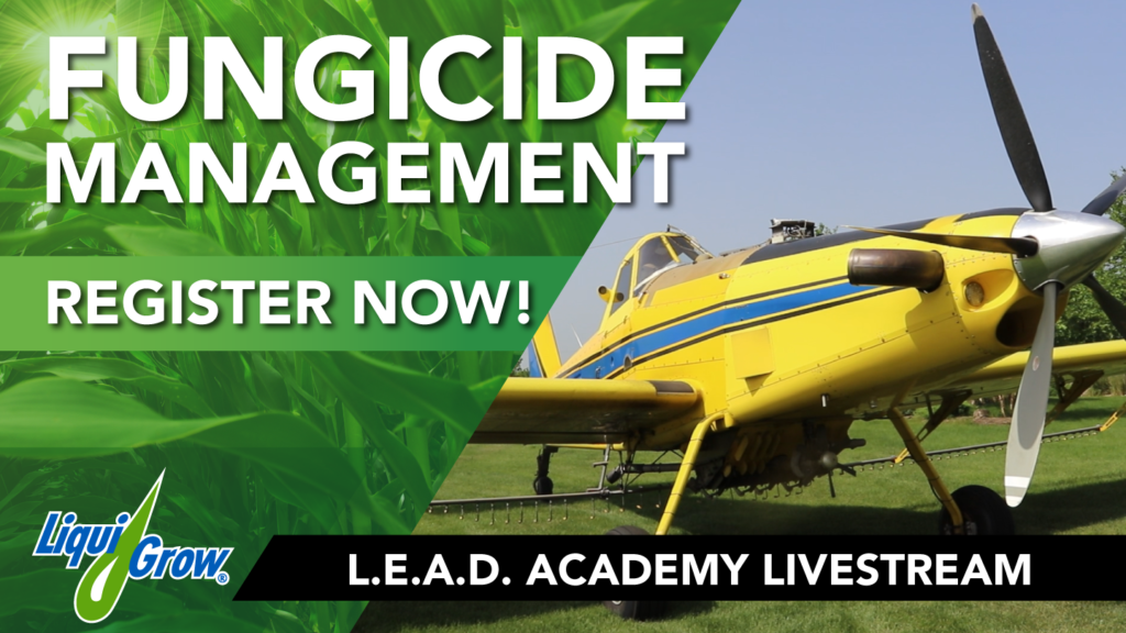 Fungicide: Real Time Feel of What’s in the Fields