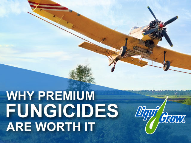 Banner of a crop duster plane flying over a field.